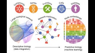 Decoding Life  Machine Learning in Bioinformatics 4 Minutes [upl. by Haldeman]