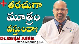 Urine Health Problems Telugu  Urine Infection  Blood in Urine Causes  Health Tips  TD TV [upl. by Gurl]