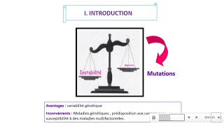 Mutations et réparation de lADN  FMPM [upl. by Houston]