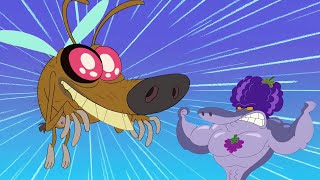 Zig und Sharko  🤣 Zig die Fliege und Sharko die Traube 🍇  Volledige aflevering in HD [upl. by Anawat]