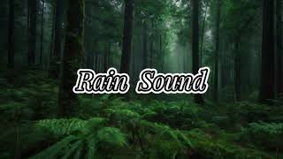 Regengeräusche zum Einschlafen 10 Minuten Naturgeräusche zum Entspannen Rain Sound [upl. by Arawaj]