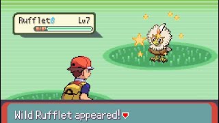 SHINY RUFFLET CAUGHT [upl. by Nimad]