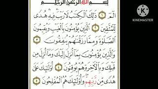 surah baqarah video viral [upl. by Siloum959]