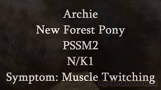 Symptoms Of MIM PSSM2 Muscle Twitching Archie [upl. by Anul]