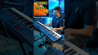 temprano yo te buscare Dyno piano music marcoswitt music musicacristiana jesus fyp piano [upl. by Adnouqal261]