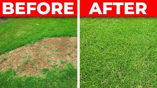 How to Fix a Bare Spot in the Lawn  3 Tips for Fast Repair [upl. by Lorenza]