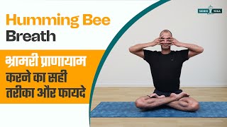 भ्रामरी प्राणायाम करने का सही तरीका और फायदे Bhramari Pranayama  Yoga Breathing Techniques in Hindi [upl. by Elletsirk]