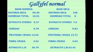 ALIMENTO ESPECIAL PARA GALLOS DE PELEA GALLYFEL [upl. by Karli]