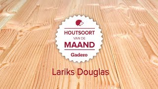 Houtsoort van de maand  Lariks Douglas hout [upl. by Ytnom]