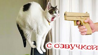 Приколы с котами САМЫЕ СМЕШНЫЕ ЖИВОТНЫЕ С ОЗВУЧКОЙ  Смешные коты и собаки 2023 [upl. by Spada]