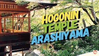 Japan Experience HD  Kyoto  Arashiyamas Hogonin Temple  Vlog in Japan  Documentario Giappone [upl. by Dowling761]