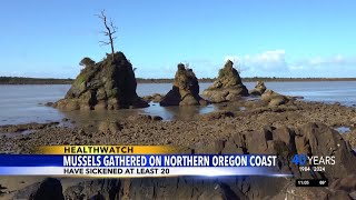 Mussels on Oregon coast cause at least 20 to fall ill [upl. by Euqitsym301]