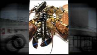 Leverancier schaaldieren Deerlijk  Lobster Fish [upl. by Eniamraj]