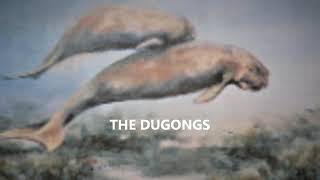 THE DUGONGS [upl. by Brandyn]