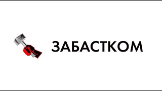 О проекте quotЗабасткомquot гости  представители проекта [upl. by Dianna]