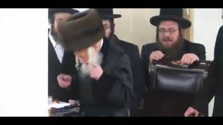 Haneiros Halalu With Skulener Rebbe Ztquotl [upl. by Adnirem]