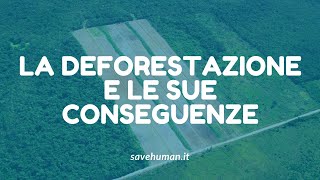 La deforestazione e le sue conseguenze [upl. by Ecyoj]