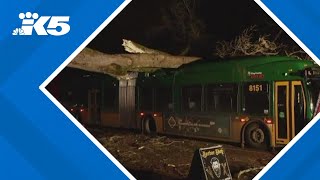 Bomb cyclone leaves widespread damage around western Washington [upl. by Joselow819]