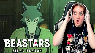 TWO PARTS I Teaser Trailer Reaction of Beastars Final Season I Part 1 amp Part 2 I Netflix [upl. by Popelka451]