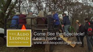 Sandhill Crane Migration at the Leopold Shack [upl. by Ailesor]