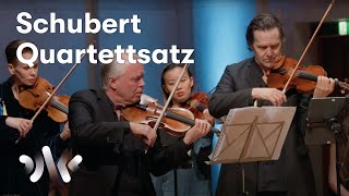 Schubert String Quartet No 12 D 703  Arvid Engegård amp NCO [upl. by Yhtorod]