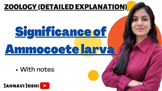 Significance of Ammocoete larva Notes Bsc 2nd year Zoology [upl. by Sophie84]