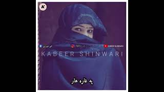 pashto song  zwani me gore more lyric [upl. by Leahcimnhoj710]