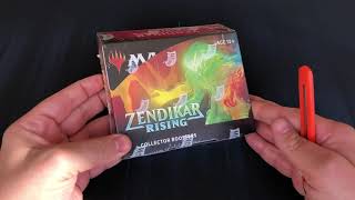 5 Expeditions  Zendikar Rising Collector Booster Box Opening [upl. by Nonad]