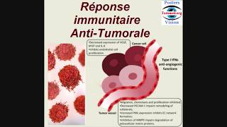 Immunité Anti tumorale Mécanisme Réactionnel des Réponses immunitaires AntiTumorale Poumon [upl. by Bayless]