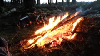 Wild camping Dartmoor Bushcraft Fernworthy [upl. by Dougie583]