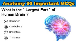 Ace Your 2024 Exam  Top 30 Anatomy Important MCQ [upl. by Darnoc]