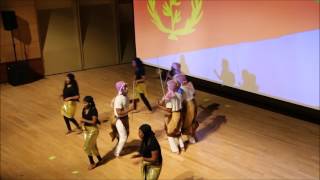 Eritrea  Afro Caribbean Night 2017 [upl. by Wassyngton]