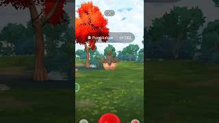 See how I Catch a Pumpkaboo in Pokemon go pokemongo [upl. by Notgnirrab]