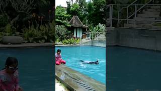 BERENANG HANYA 25000 DI VILLATEL SALSE BANDUNG PART 3 annisasyawalina shorts youtubeshorts vlog [upl. by Ahsen]