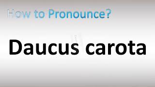 How to Pronounce Daucus carota [upl. by Anees]