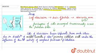 Deciduous plants shed their leaves during hot summer of in autumn This process of shedding of [upl. by Lederer]