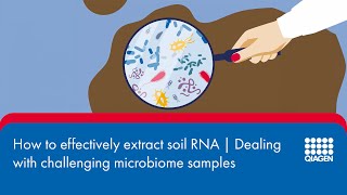 How to effectively extract soil RNA  Dealing with challenging microbiome samples 2 [upl. by Adnohsor]