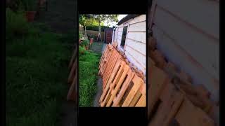 DIY Building a ShedTiny house using pallets  GabzWorkshop shortsvideo [upl. by Ille485]