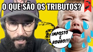 PARA QUE SERVEM OS IMPOSTOS NÃO É O QUE VOCÊ PENSA [upl. by Ilram120]