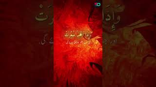 SurahAtTakwir khobsurat Quran ki Tilawat Reciter AHMED KHEDR  USoft youtube shorts [upl. by Annyrb674]