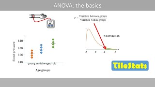 Oneway ANOVA the basics [upl. by Iatnahs98]