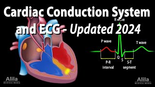 Cardiac Conduction System and Understanding ECGEKG  Updated 2024 Animation [upl. by January631]