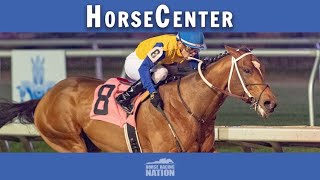 Lecomte and Louisiana top picks on HorseCenter [upl. by Nadnal]