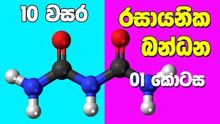 Grade 10 Science in Sinhala Medium  Unit 10 Part 1  10 විද්‍යාව 10 පාඩම  රසායනික බන්ධන [upl. by Battat]