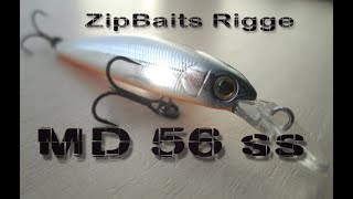 Охота на Жереха  ZipBaits Rigge MD 56 SS Первая проба [upl. by Jacob481]