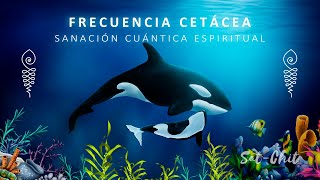 FRECUENCIA CETÁCEA • SANACIÓN CUÁNTICA ESPIRITUAL 🐋 Canto de BALLENAS y DELFINES 741 Hz [upl. by Kenweigh]