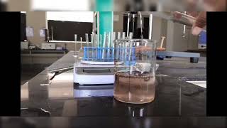 Determine the Foaming Index of given Crude drug Saponin Acacia Bpharm 4th sem PCognosy Practical [upl. by Coray]