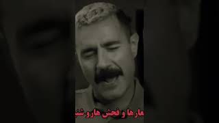 فرق خمینی و خامنه ای از زبان شاهین نجفی [upl. by Wurster898]