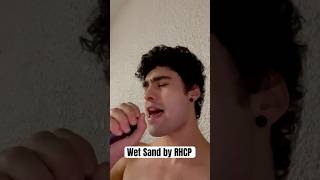 Wet Sand by RHCP Cover youtubeshorts shortsvideo singer fyp [upl. by Malynda]