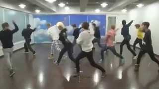 EXO WOLF Practice full version [upl. by Odareg]